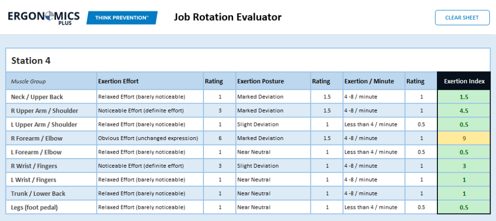 A Step-by-Step Guide to Job Rotation
