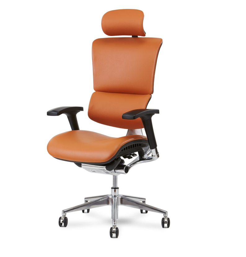 Ergonomic Office Chair Review: X-Chair X3 and X4 - ErgoPlus