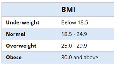 Free Wellness Handout — What is Obesity and Why is it So Dangerous?