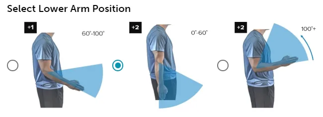 REBA step 8 lower arm choices: 60 to 100 degrees of elbow flexion +1, less than 60 or more than 100 degrees +2