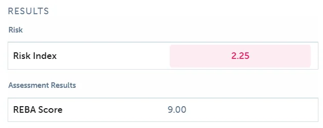 REBA example result in ErgoPlus Industrial: risk index 2.25 and REBA score 9