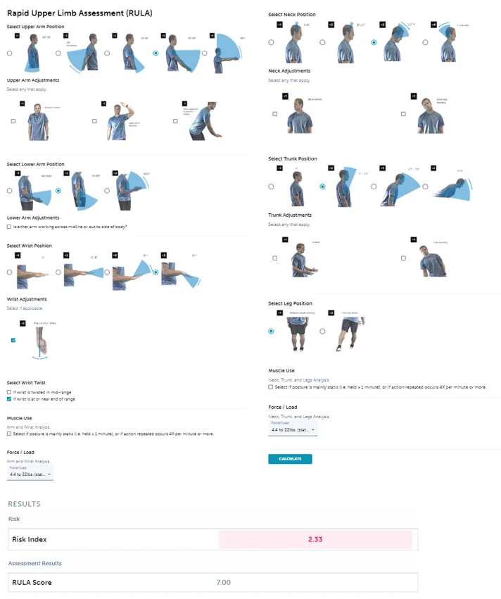 The RULA calculator in ErgoPlus Industrial: posture choices for the arms, wrists, neck, trunk and legs, with muscle use and force/load